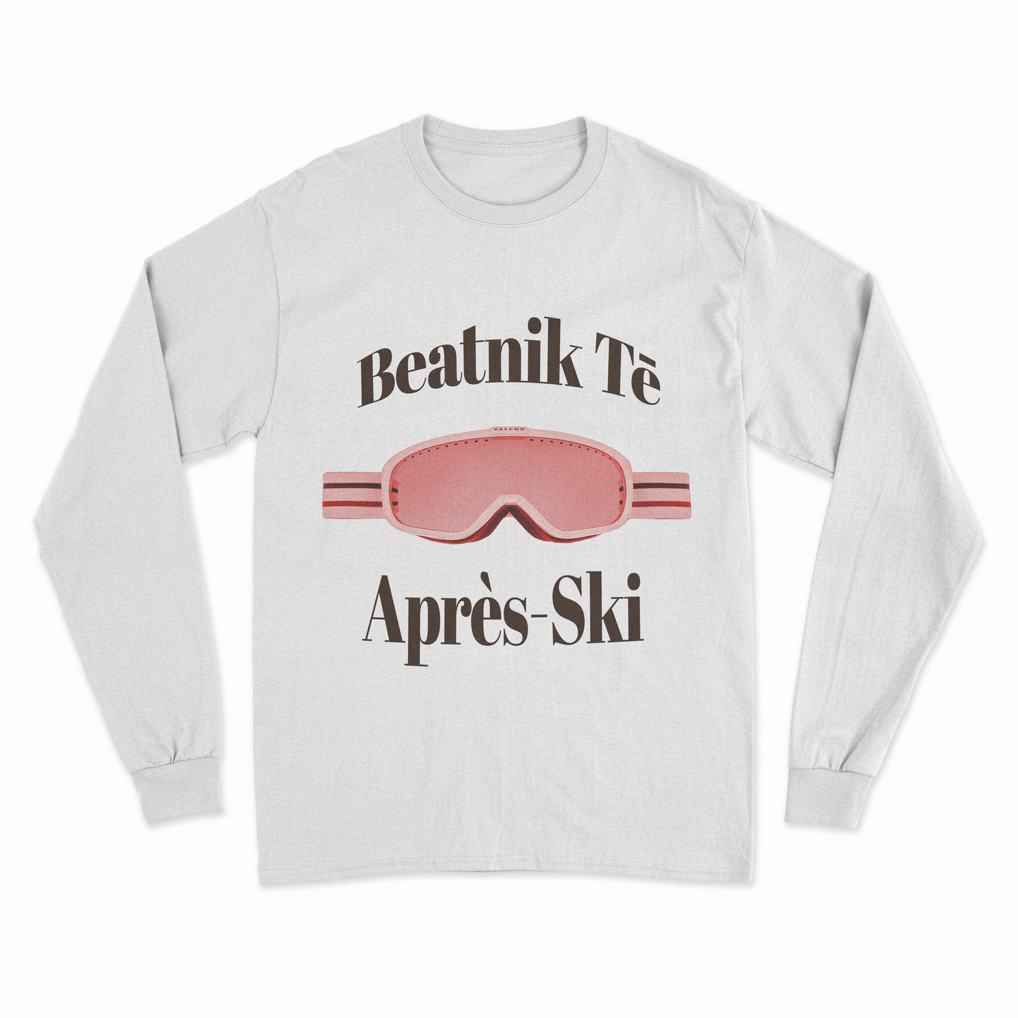 Ski Goggles